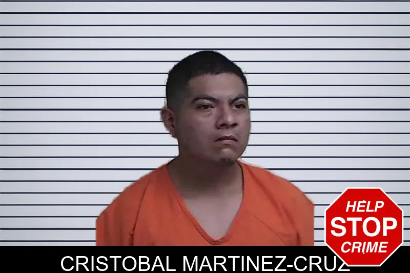 Cristobal Martinez-Cruz mugshot – Fannin County , Georgia Cristobal Martinez-Cruz mugshot