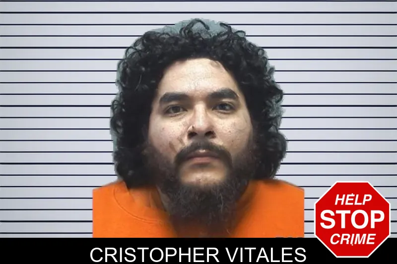 Cristopher Vitales mugshot – Cherokee County , Georgia Cristopher Vitales mugshot