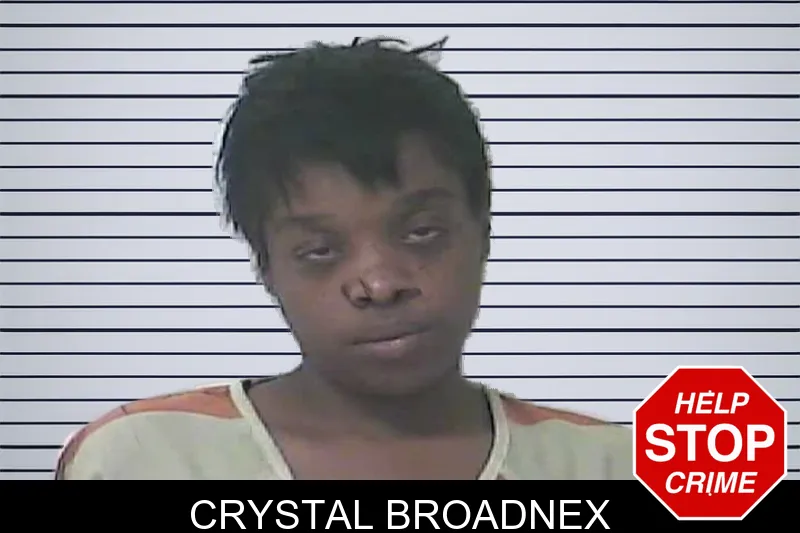 Crystal Broadnex mugshot – Oconee County , Georgia Crystal Broadnex mugshot