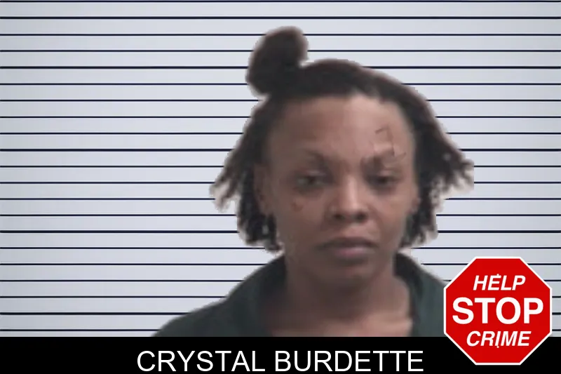 Crystal Burdette mugshot – Henry County , Georgia Crystal Burdette mugshot