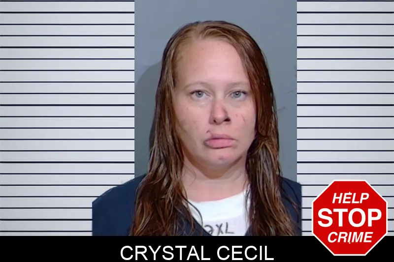 Crystal Cecil mugshot
