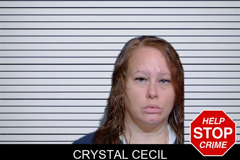 Crystal Cecil mugshot
