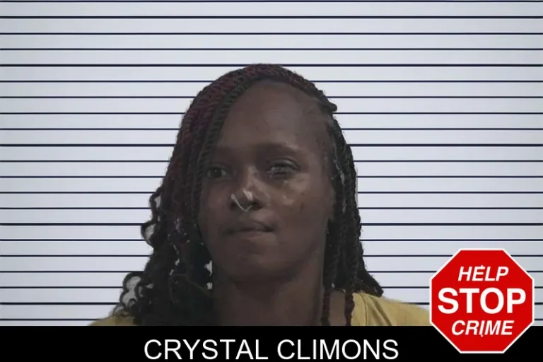 Crystal Climons mugshot – McDuffie County , Georgia Crystal Climons