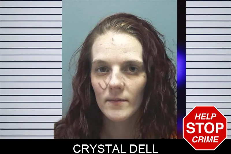Crystal Dell mugshot – Cherokee County , Georgia Crystal Dell mugshot