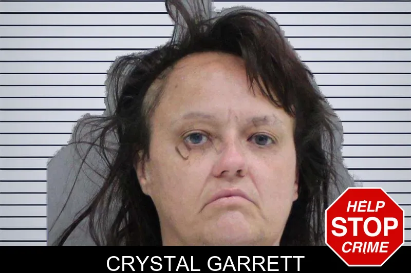Crystal Garrett mugshot – Rabun County , Georgia Crystal Garrett mugshot