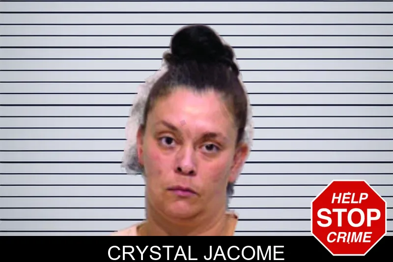 Crystal Jacome mugshot – Bartow County , Georgia Crystal Jacome mugshot