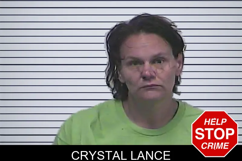 Crystal Lance mugshot – Dawson County , Georgia Crystal Lance mugshot