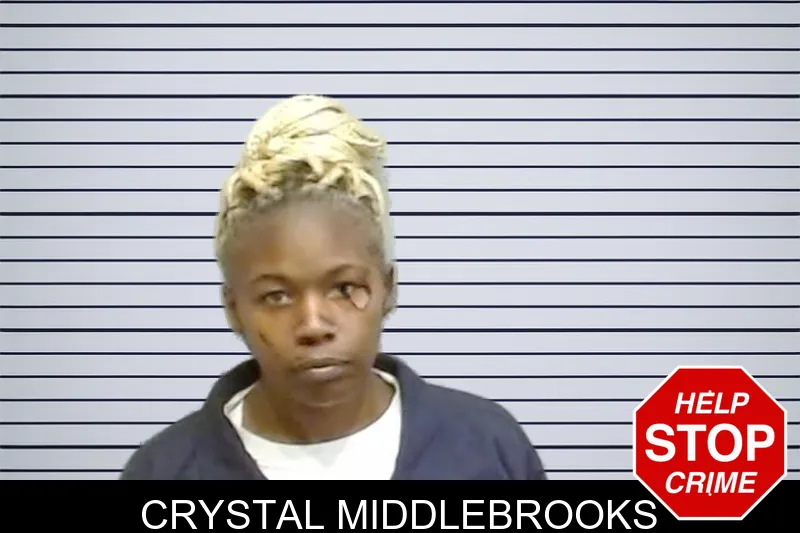 Crystal Middlebrooks mugshot