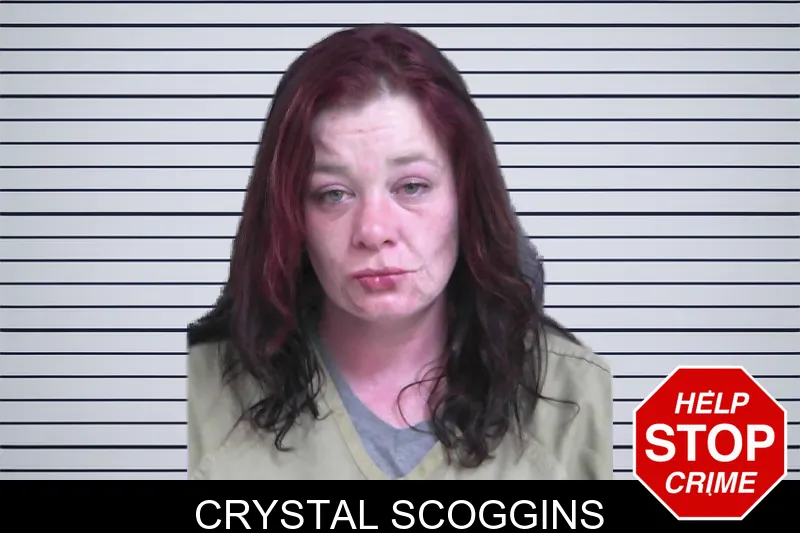 Crystal Scoggins mugshot