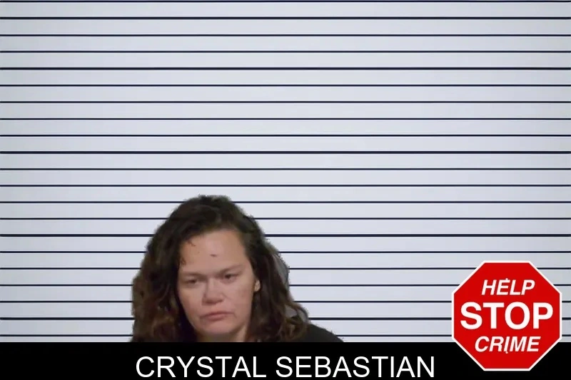 Crystal Sebastian mugshot