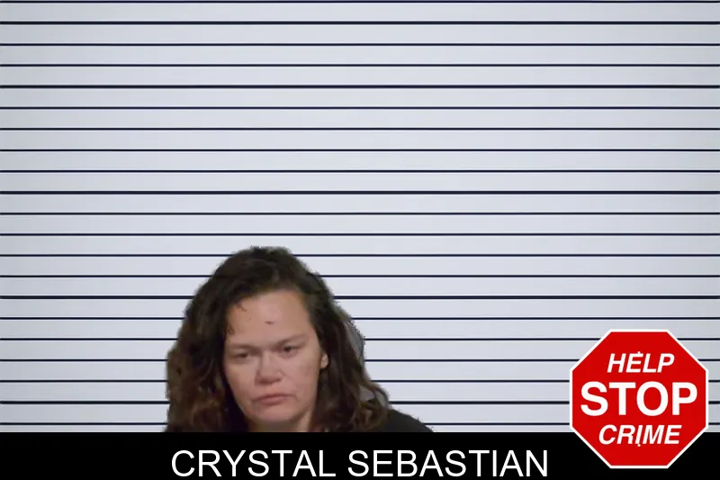Crystal Sebastian mugshot