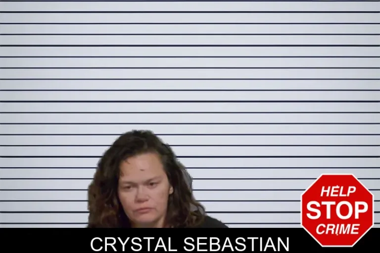 Crystal Sebastian mugshot – Candler County , Georgia Crystal Sebastian