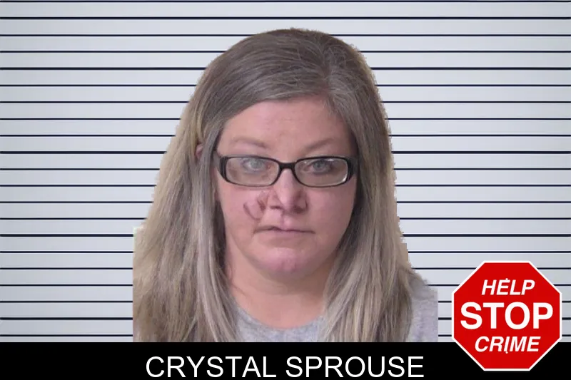 Crystal Sprouse mugshot – Walker County , Georgia Crystal Sprouse mugshot