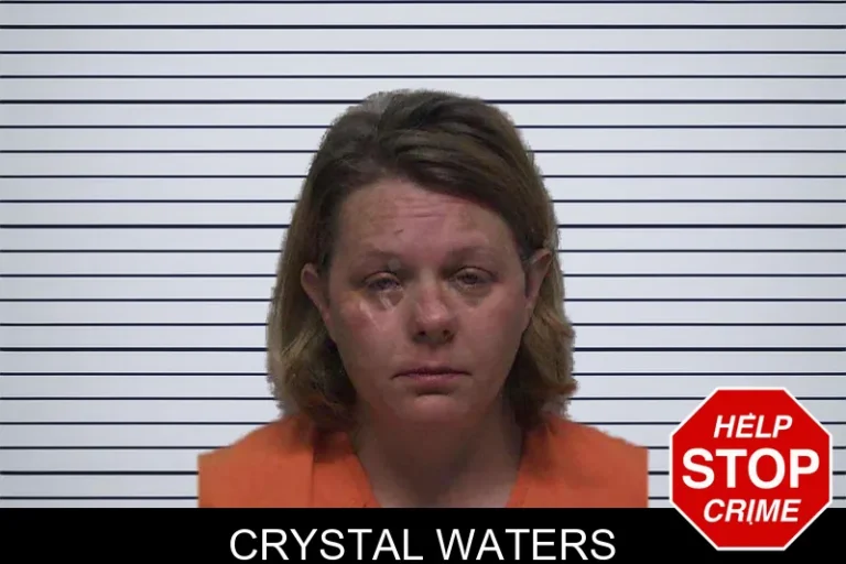 Crystal Waters mugshot – Laurens County , Georgia Crystal Waters