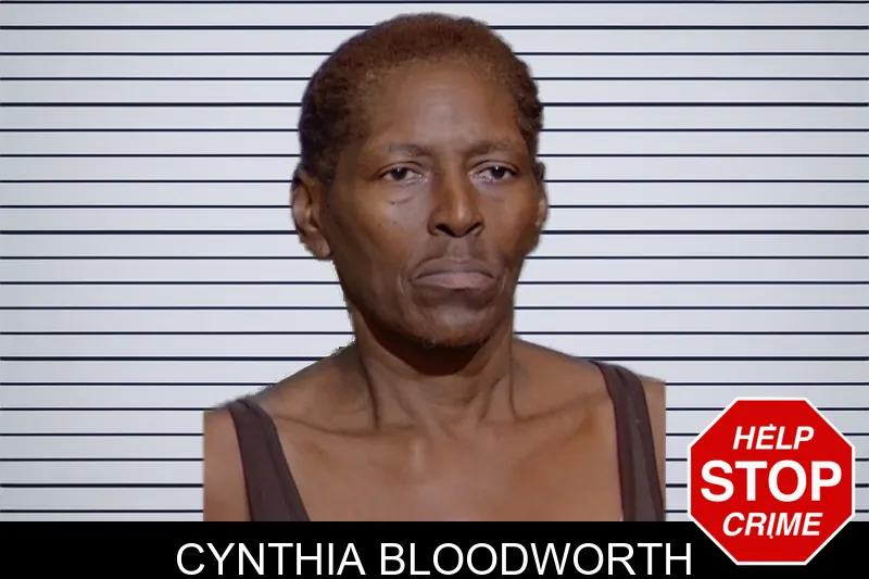 Cynthia Bloodworth mugshot – Glynn County , Georgia Cynthia Bloodworth mugshot