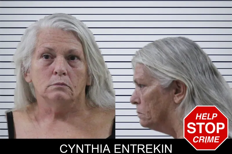 Cynthia Entrekin mugshot