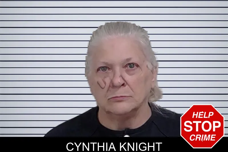 Cynthia Knight mugshot
