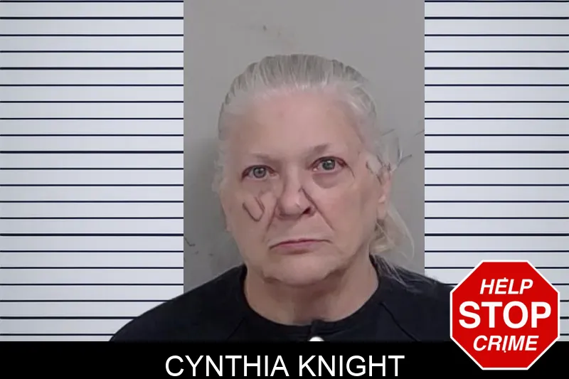 Cynthia Knight mugshot
