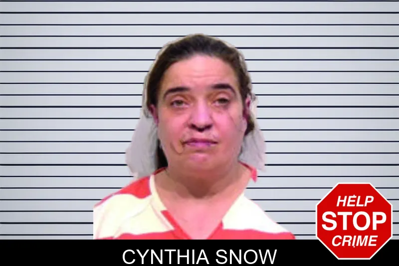 Cynthia Snow mugshot