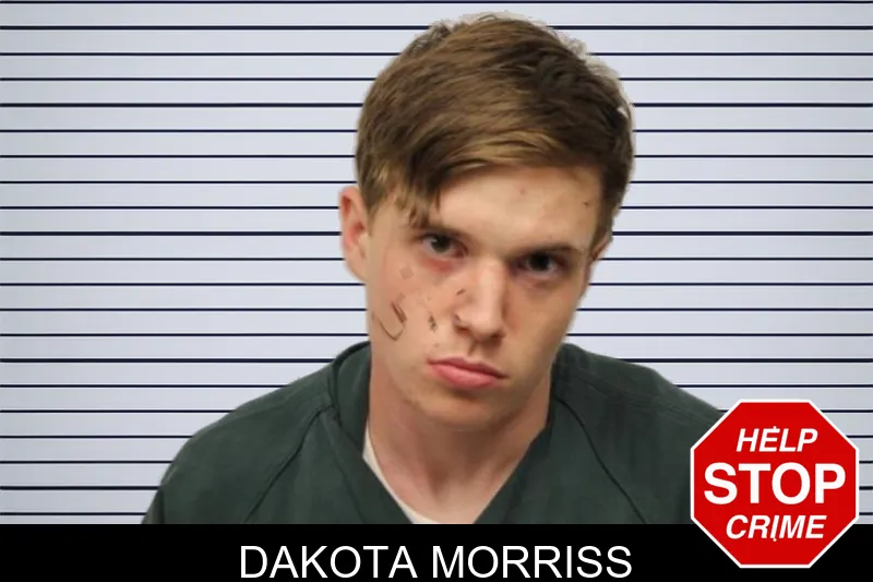 Dakota Morriss mugshot