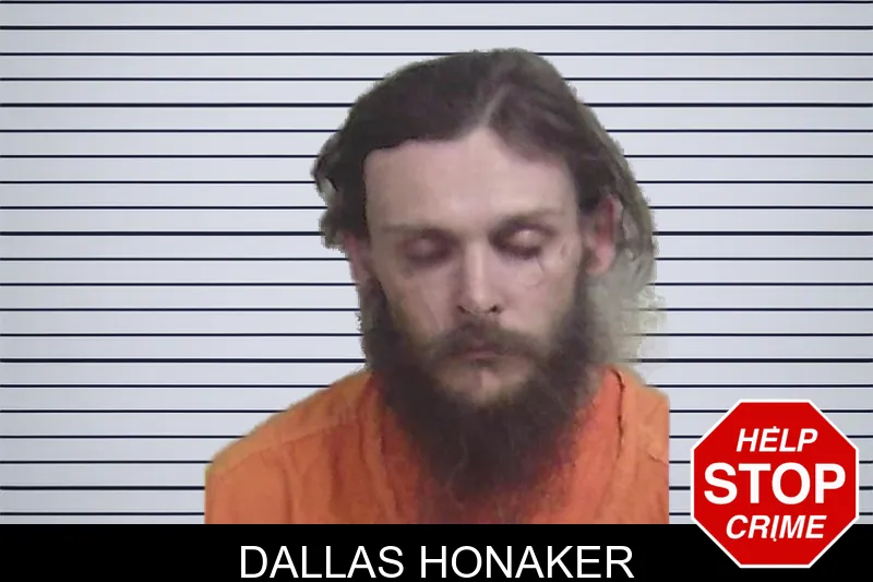 Dallas Honaker mugshot – Wayne County , Georgia Dallas Honaker mugshot