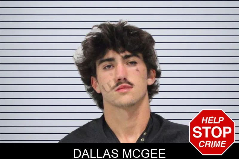 Dallas McGee mugshot