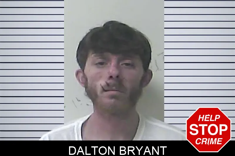Dalton Bryant mugshot