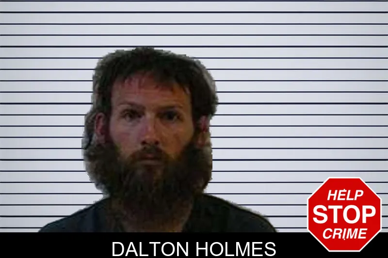 Dalton Holmes mugshot