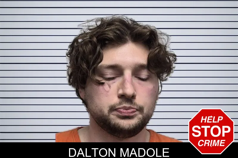 Dalton Madole mugshot