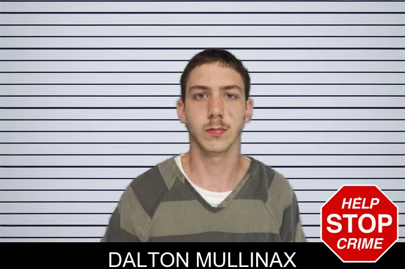 Dalton Mullinax mugshot – Hall County , Georgia Dalton Mullinax mugshot