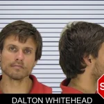 Dalton Whitehead mugshot