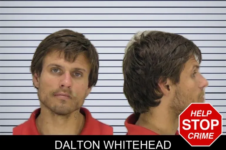 Dalton Whitehead