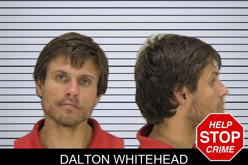 Dalton Whitehead mugshot
