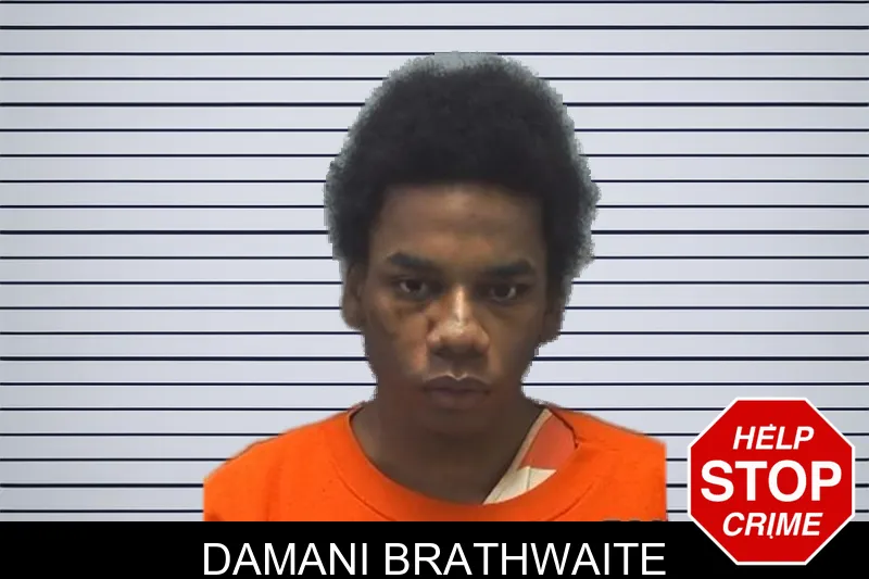 Damani Brathwaite mugshot – Cherokee County , Georgia Damani Brathwaite mugshot