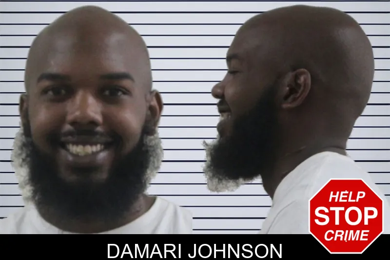 Damari Johnson mugshot