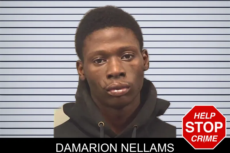Damarion Nellams mugshot – Bleckley County , Georgia Damarion Nellams mugshot