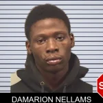 Damarion Nellams mugshot – Bleckley County , Georgia Damarion Nellams mugshot