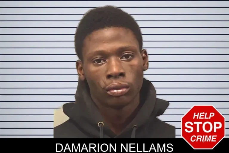 Damarion Nellams