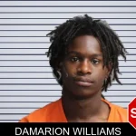 Damarion Williams mugshot