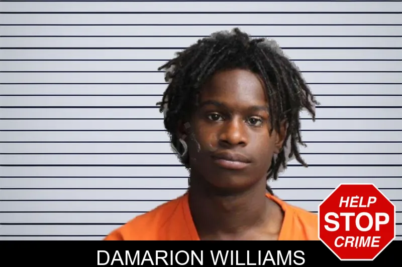 Damarion Williams mugshot
