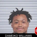 Dameiko Williams mugshot