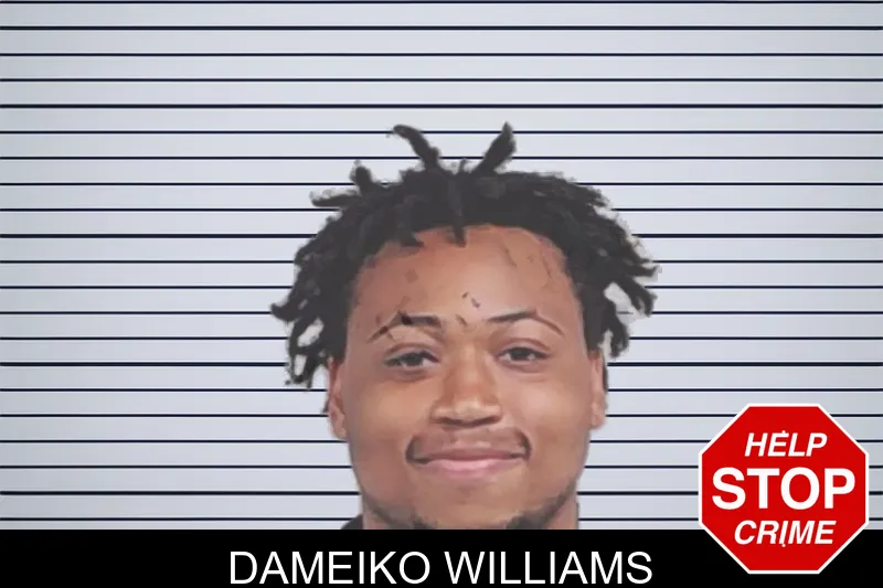 Dameiko Williams mugshot