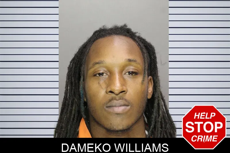 Dameko Williams mugshot – Cobb County , Georgia Dameko Williams mugshot