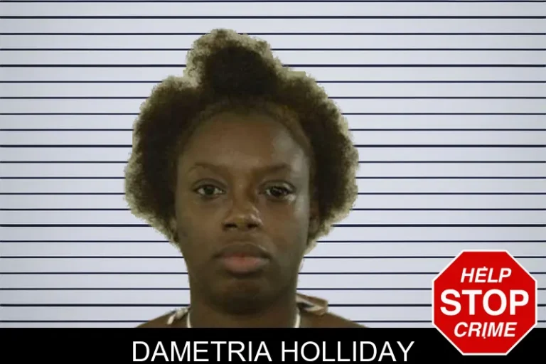 Dametria Holliday mugshot – Liberty County , Georgia Dametria Holliday