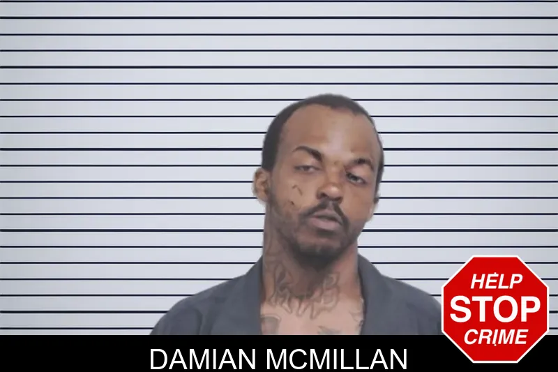 Damian McMillan mugshot