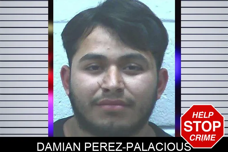 Damian Perez-Palacious mugshot