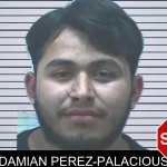 Damian Perez-Palacious mugshot