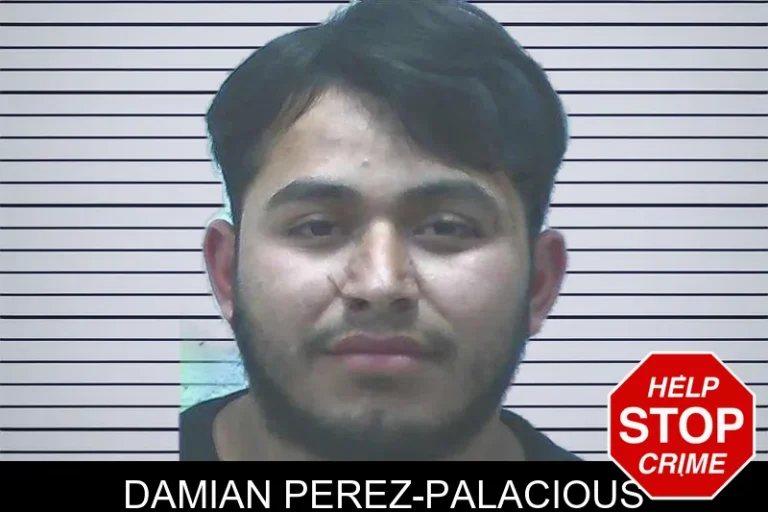 Damian Perez-Palacious