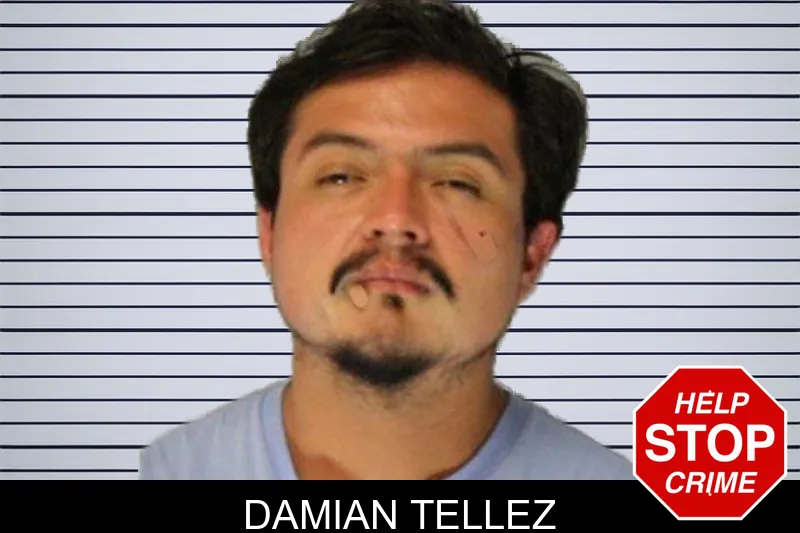 Damian Tellez mugshot – Hall County , Georgia Damian Tellez mugshot
