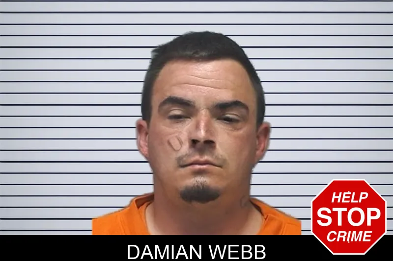 Damian Webb mugshot